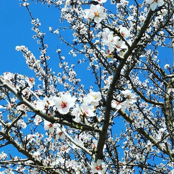 Welcome! 💕 - Picture 2 of 7